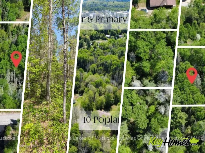 10 POPLAR STREET, South River