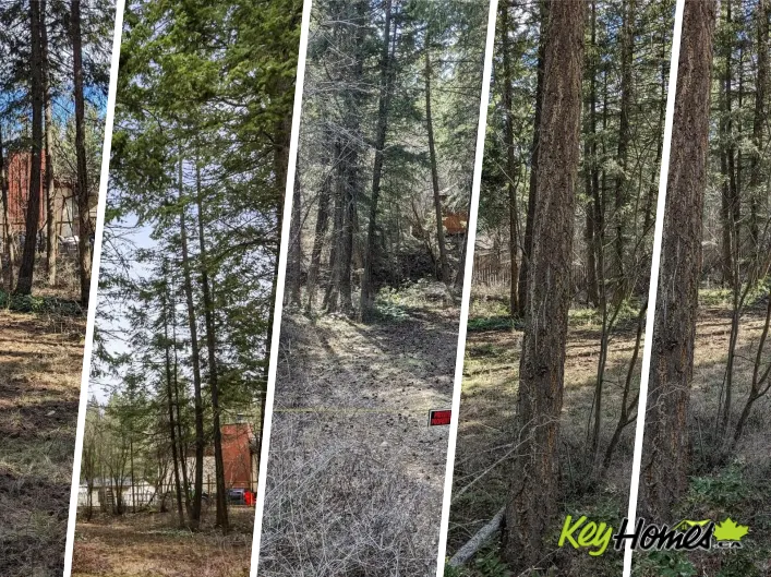 Other for sale: 10825 Westshore Road, Vernon