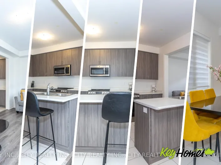 House for rent: 11 HAGER CREEK TERRACE, Hamilton