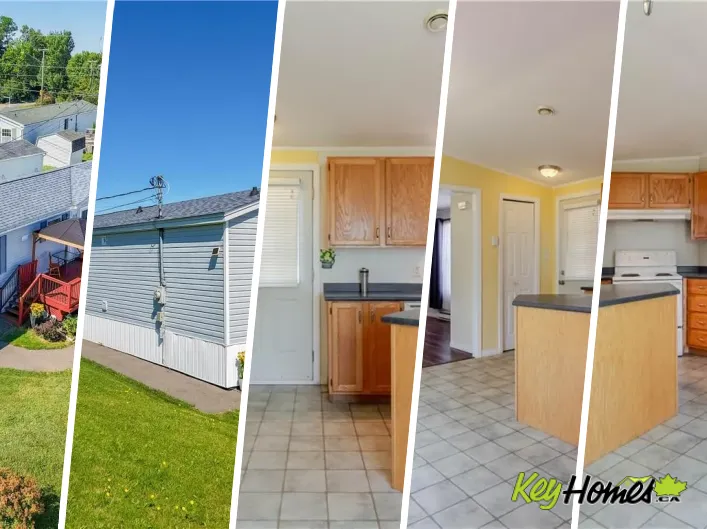 House for sale: 11 Senator Drive, Fredericton