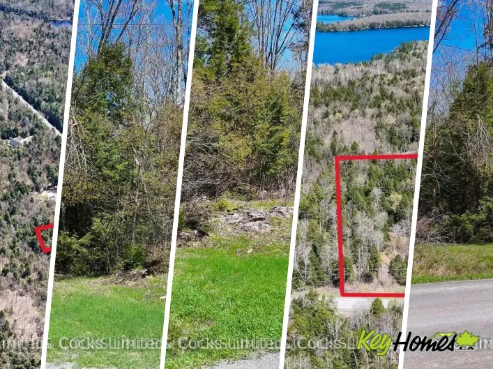 1160 BALMER ROAD, North Kawartha