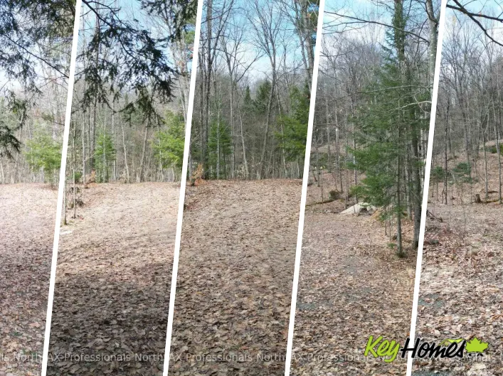 1231 BIG HAWK LAKE ROAD, Algonquin Highlands