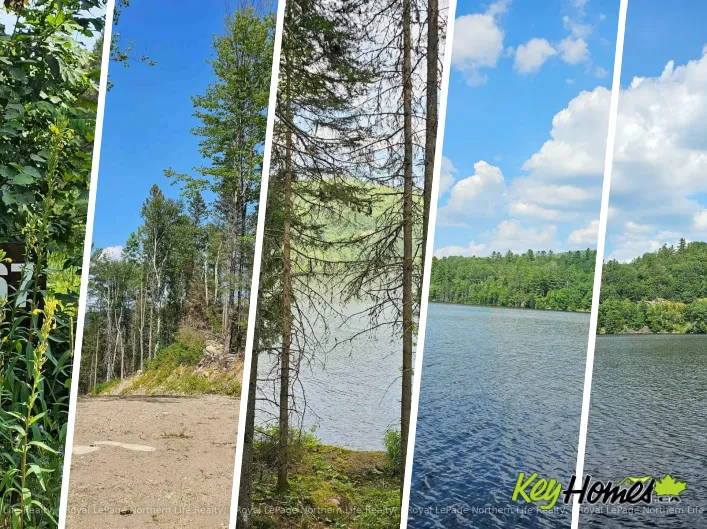 1267 SNAKE CREEK ROAD, Mattawan
