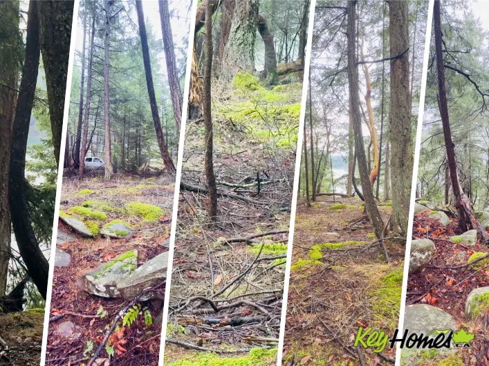 127 Halibut Hill Rd, Mudge Island