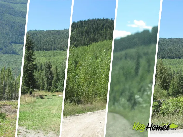 Other for sale: 130Acres Sugar Lake-Sihlis Road, Vernon