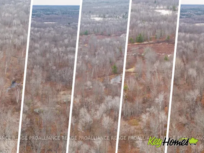 1446 FLINTON ROAD, Tweed)
