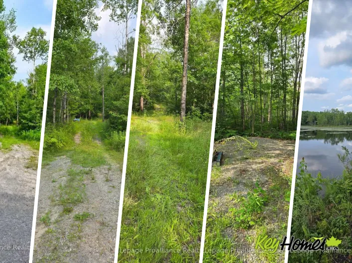 1446 FLINTON ROAD, Tweed)