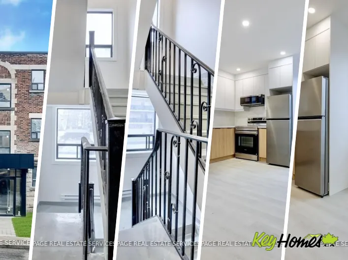 Other for rent: 15 - 20 DUKE STREET, Hamilton
