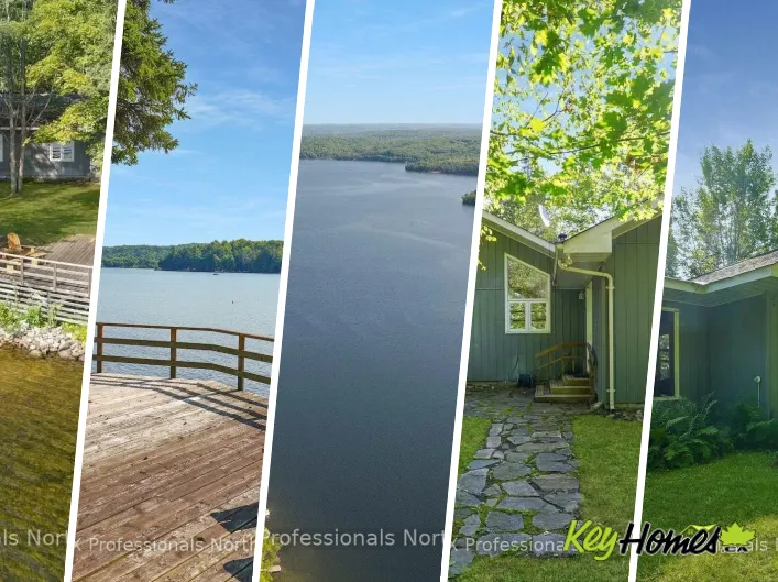 House for sale: 1500 TWELVE MILE LAKE ROAD, Minden Hills