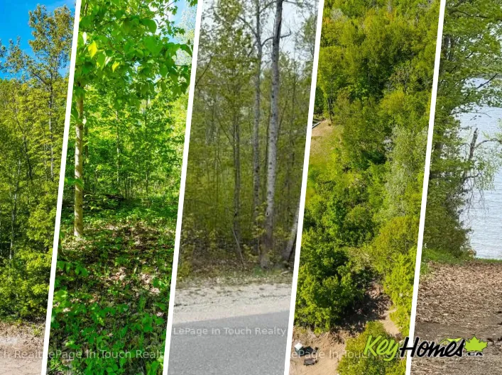 1536 CHAMPLAIN ROAD, Tiny