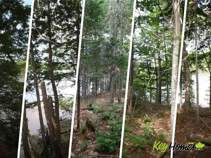 15-59 Bass River Point Route, Bass River