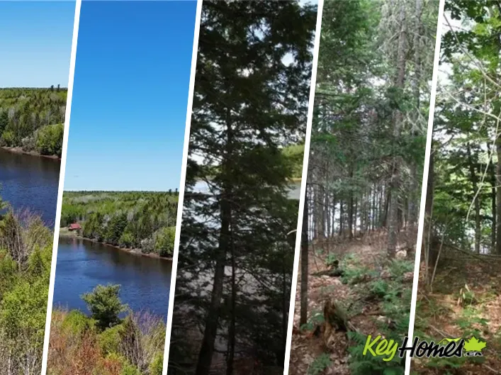 15-60 Bass River Point Road, Bass River