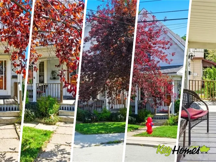 House for sale: 157 EAST 5TH Street, Hamilton
