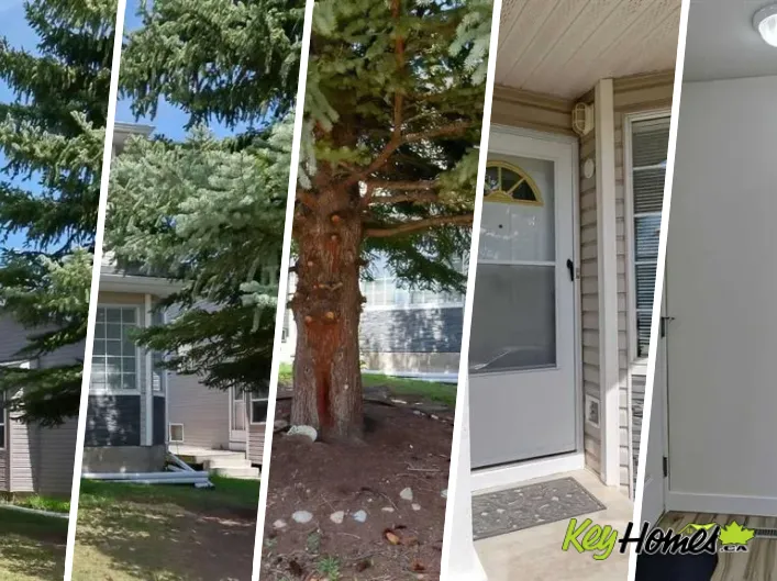 House for sale: 157 Harvest Gold Heights NE, Calgary