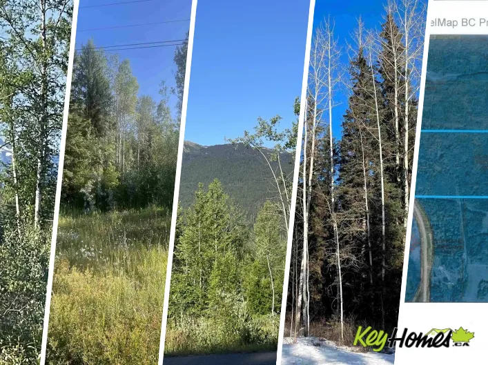16 HIGHWAY, Smithers