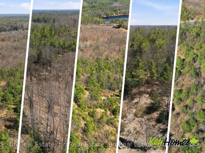 1671 MUSKOKA RD 38, Muskoka Lakes)