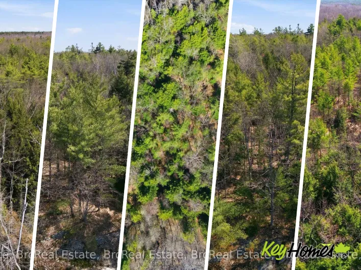 1673 MUSKOKA RD 38, Muskoka Lakes)
