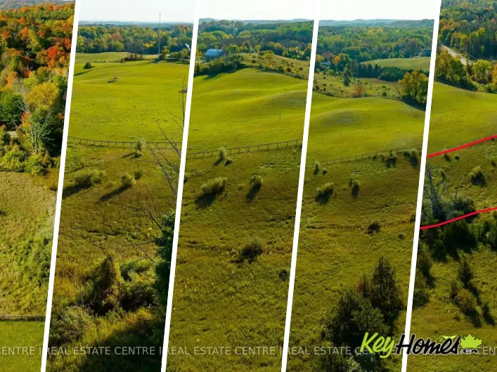 17479 THE GORE ROAD, Caledon