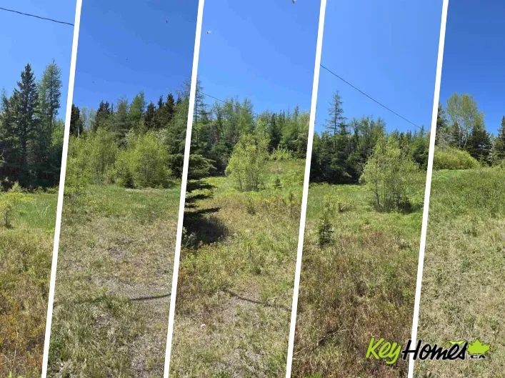17987 316 Highway, Country Harbour