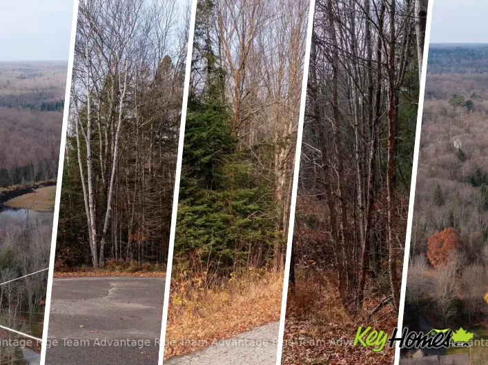 181 CLARKES LANE, Huntsville