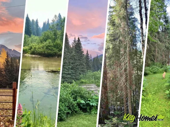 18405 S 5 HIGHWAY, Valemount