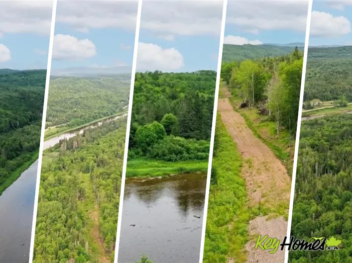 198 acres Damascus Road, Damascus