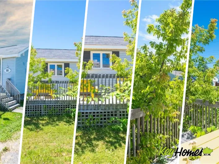 House for sale: 20 William Avenue, Shediac