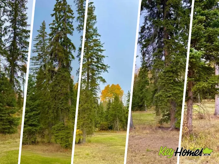 202 Meadow Ponds Drive, Rural Clearwater County