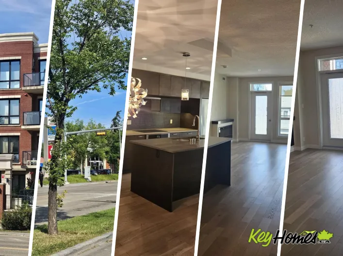 Apartment for rent: #207 11710 87 AV NW, Edmonton