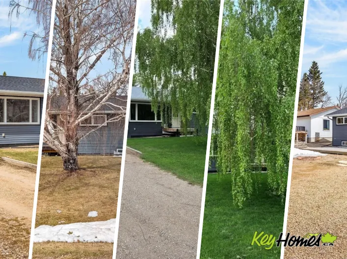 House for sale: 209 Albert AVENUE S, Rose Valley