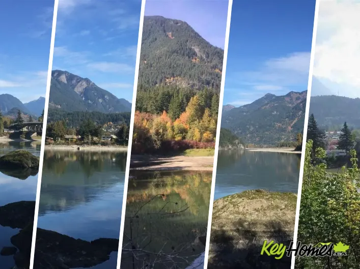 21437 HAIG STATION ROAD|Hope, Hope
