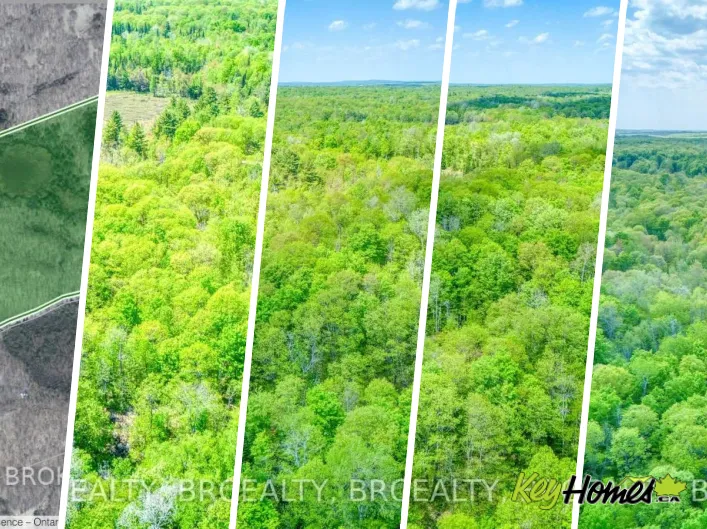 2250 CLARENDON ROAD, Frontenac