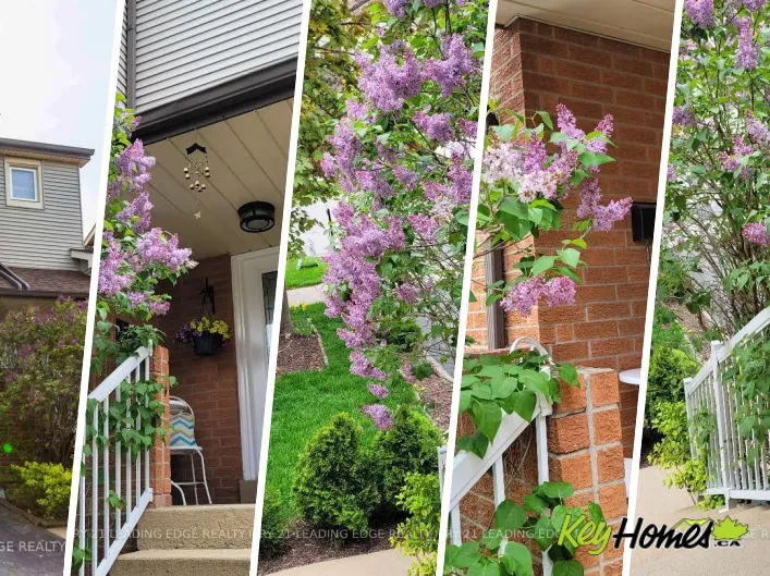 Row / Townhouse for rent: 2259 MUNN'S AVENUE, Oakville