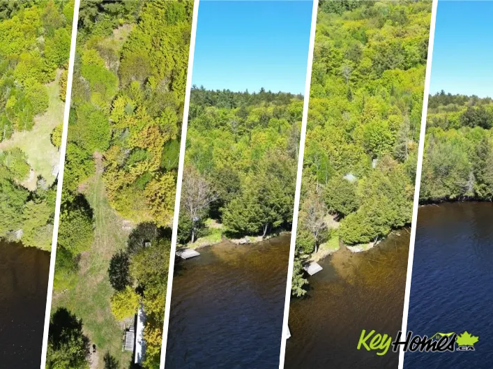 24 Mountainview Road, Massey