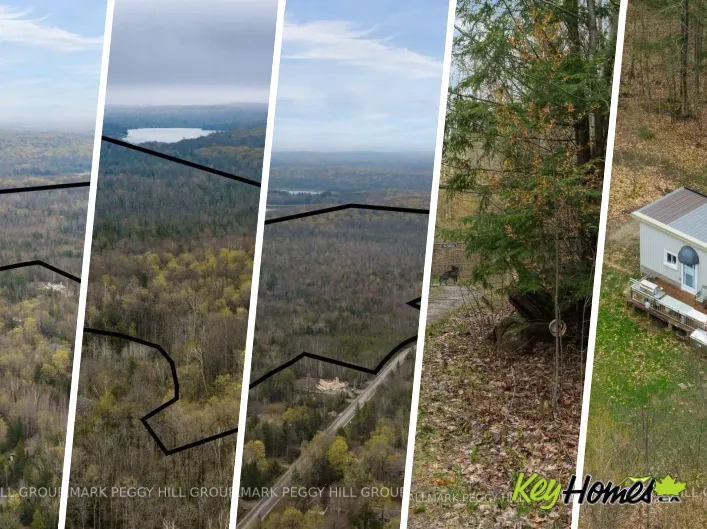2442 CHAMPLAIN ROAD, Tiny