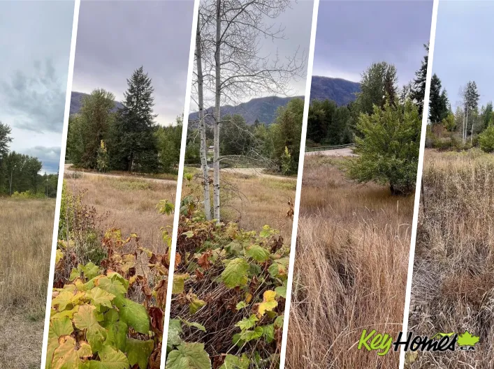 Other for sale: 2481 Squilax Anglemont Road Lot# 48, Lee Creek