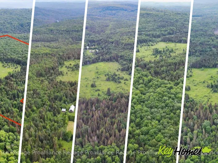26643 HIGHWAY 60, South Algonquin