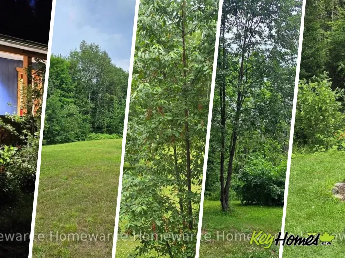 House for sale: 2896 BRUNEL ROAD, Huntsville