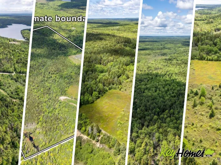 2925 Highway 203, East Kemptville