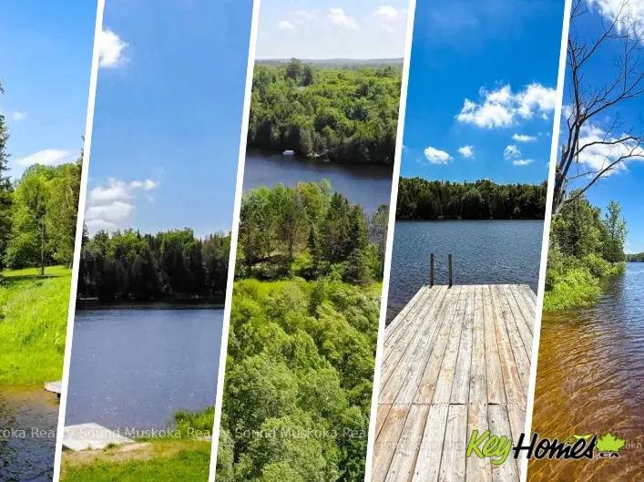 House for sale: 3 MAGNET ROAD, Magnetawan