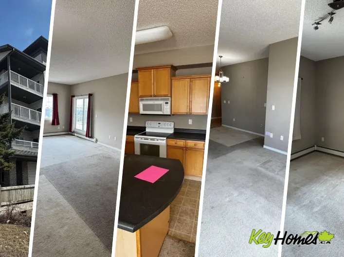 Apartment for sale: #300 16715 100 AV NW, Edmonton