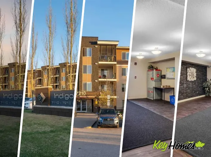 Apartment for sale: 318, 7210 80 Avenue NE, Calgary