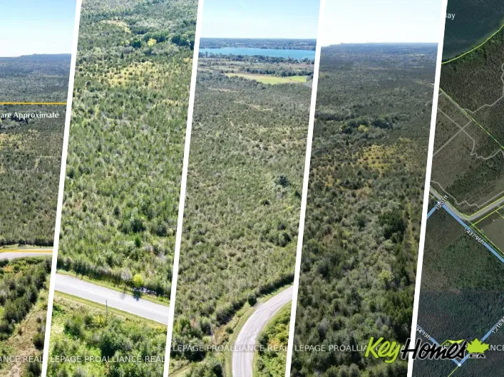 3526 COUNTY ROAD 13 ROAD, Prince Edward County