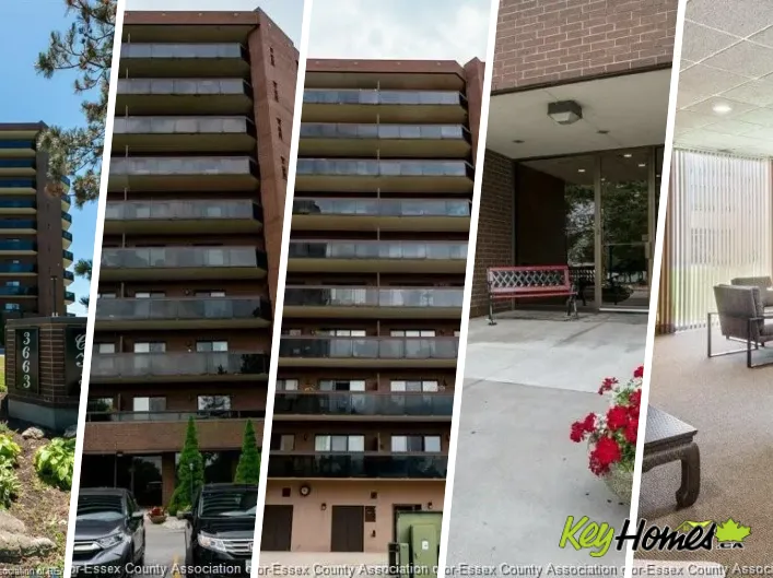 Apartment for rent: 3663 RIVERSIDE DRIVE Unit# 807, Windsor