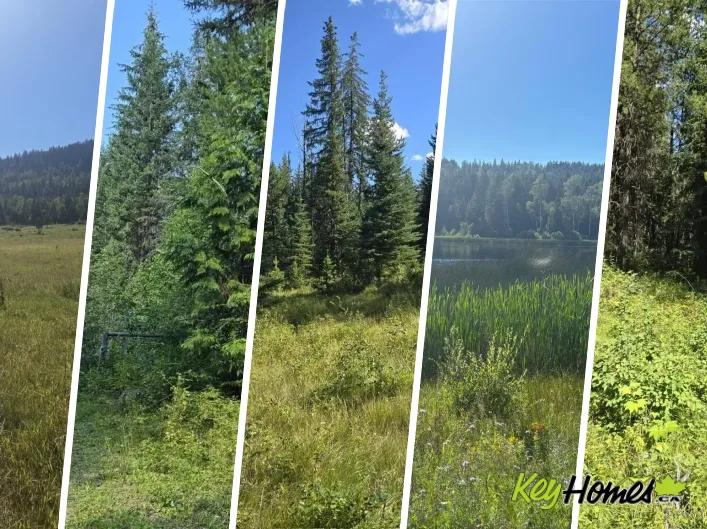 Other for sale: 3680 Miller Lake FSR Forest, Falkland