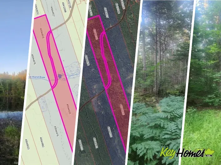 37.8 Hec Bettsburg Road, Bettsburg