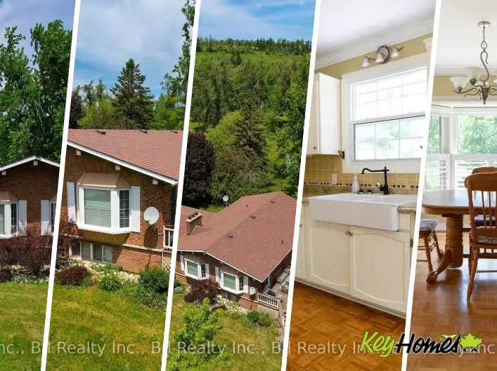 House for rent: 38 STATION STREET, Clearview