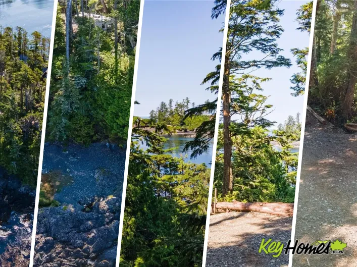 392 Reef Point Rd, Ucluelet