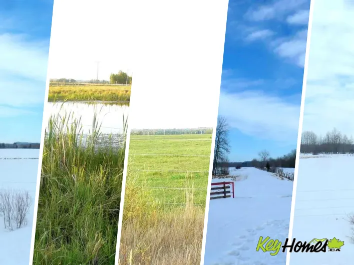 394075 Range Road 5-5, Rural Clearwater County