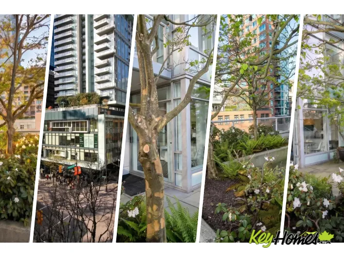 Apartment for sale: 402 480 ROBSON STREET, Vancouver